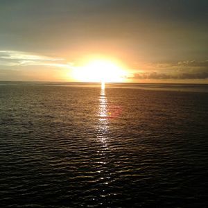 Meet your Posher, Dustin